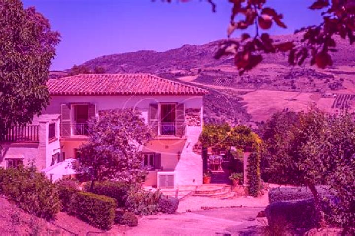 Harper, 24 — Escort in Villanueva de los Castillejos, Spain