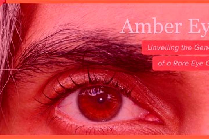 Harper, 25, a red amber-eyed mixed companion based in Gaimersheim. Offering Overnight, OWO, Prostate Massage, Fetish. Available for incall and outcall, overn...