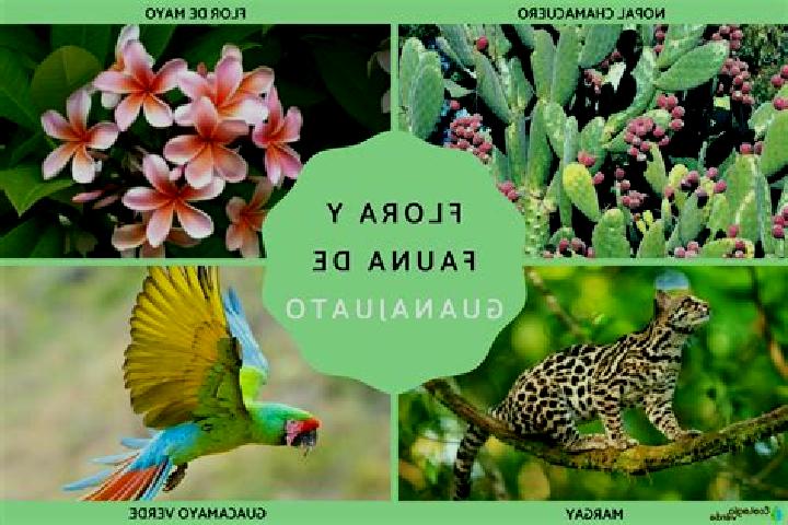 Harper, 25 — Escort in Jicayan de Tovar, Mexico