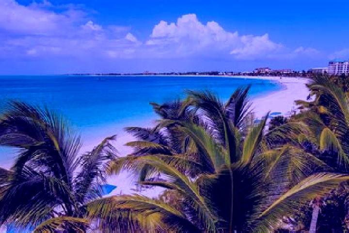 Harper, 25 — Escort in Kew, Turks and Caicos Islands