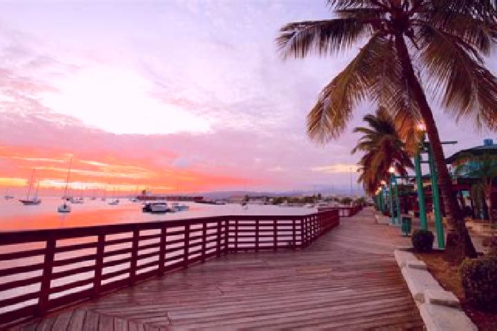 Harper, 25 — Escort in Puente Caporal (La Guancha), Mexico