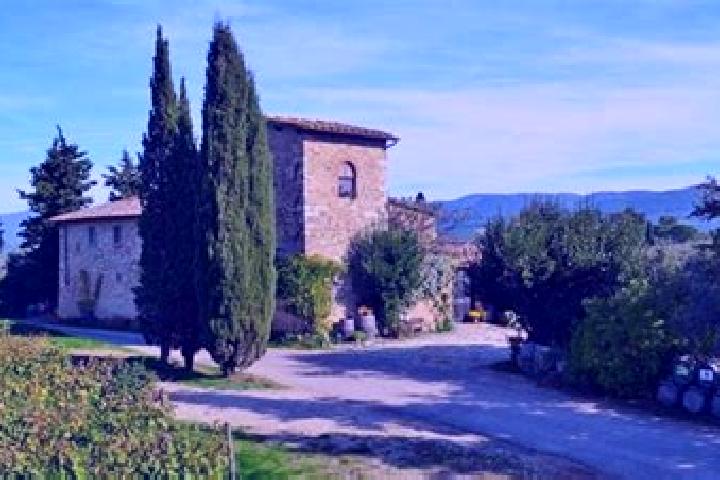 Harper, 25 — Escort in San Casciano in Val di Pesa, Italy