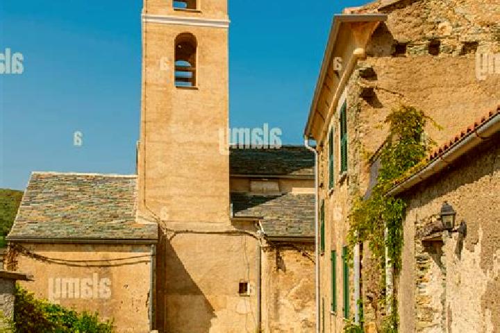 Harper, 25 — Escort in Santa-Lucia-di-Moriani, France