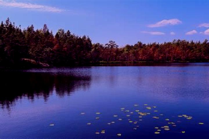 Harper, 25 — Escort in Sour Lake, United States
