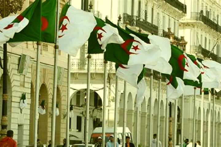 Harper, 25 — Escort in Tit, Algeria
