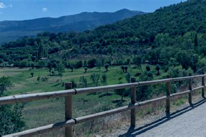 Harper, 26 — Escort in Agres, Spain