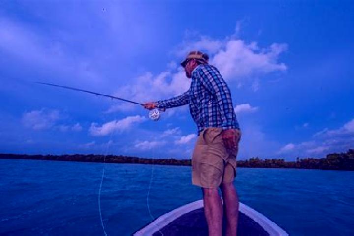 Harper, 26 — Escort in Los Tambos, Belize
