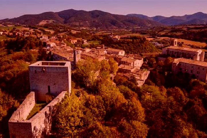 Harper, 26 — Escort in Morigerati, Italy