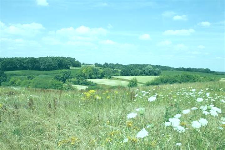 Harper, 26 — Escort in Pfaffenhofen, Germany