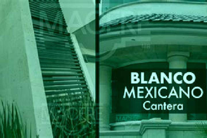 Harper, 26 — Escort in Residencial San Nicolas [Banos la Cantera], Mexico