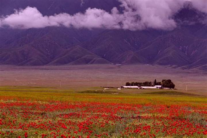Harper, 26 — Escort in Ushtobe, Kazakhstan