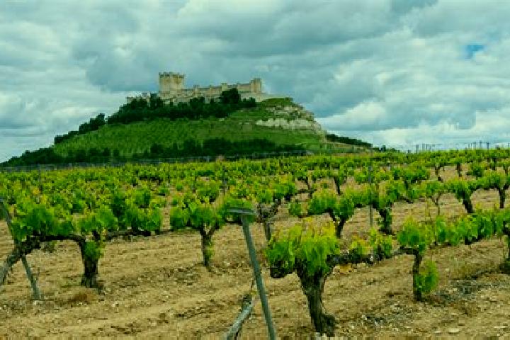 Harper, 27, a blonde amber-eyed european companion based in Albalat de la Ribera. Offering Deep French Kissing, Couples, Travel Companion, CIM. Available for...