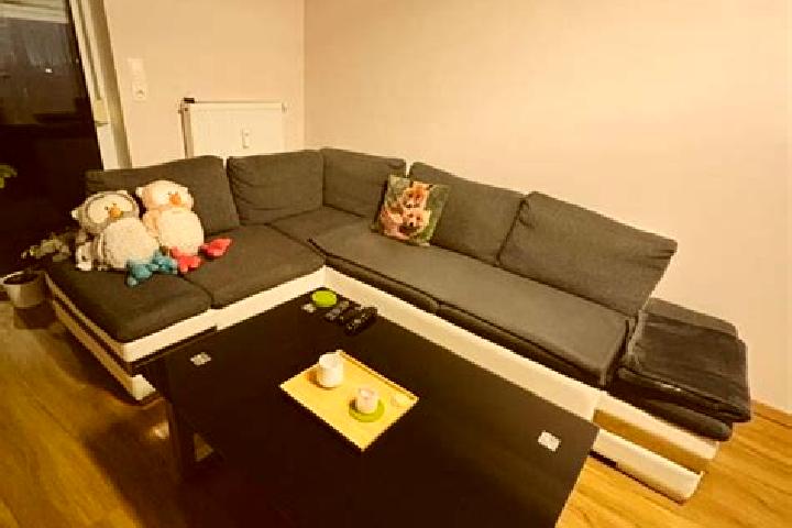 Harper, 27, a red grey-eyed asian companion based in Sankt Johann in der Haide. Offering Dinner Date, Erotic Massage, BDSM. Available for incall and outcall,...