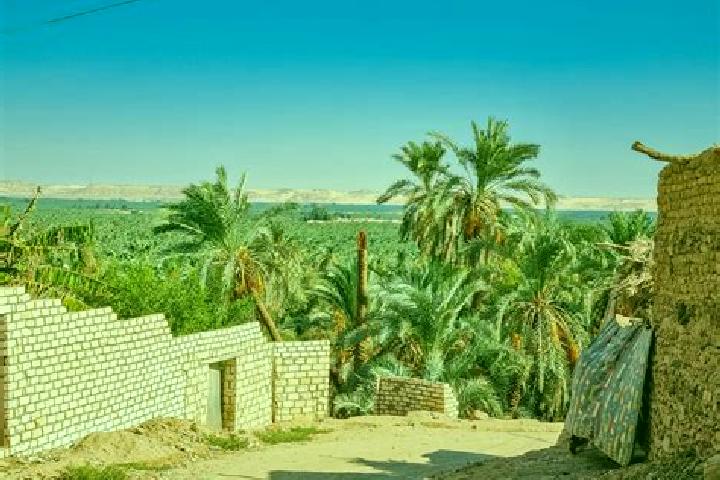 Harper, 27 — Escort in Al Bawiti, Egypt