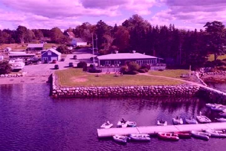Harper, 27 — Escort in Lunenburg, United States
