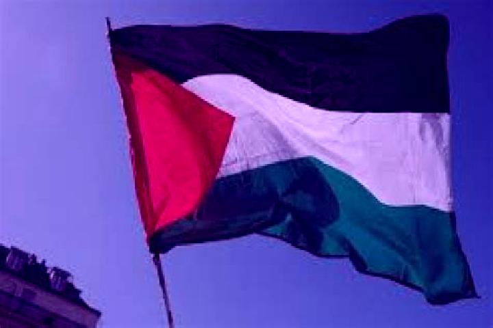 Harper, 28 — Escort in Az Zuwaydah, Palestine