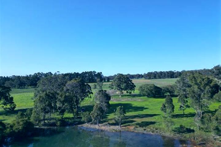 Harper, 28 — Escort in Forest Glen, Australia