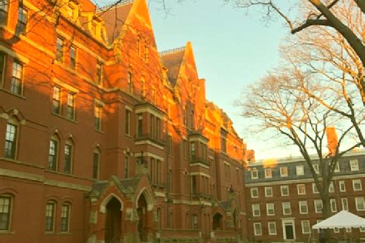 Harper, 28 — Escort in Harvard, United States