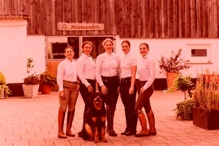 Harper, 28 — Escort in Hennersdorf, Austria