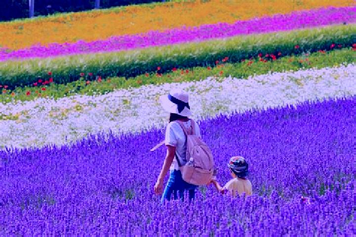 Harper, 28 — Escort in Kami-furano, Japan