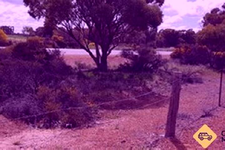 Harper, 28 — Escort in Merredin, Australia