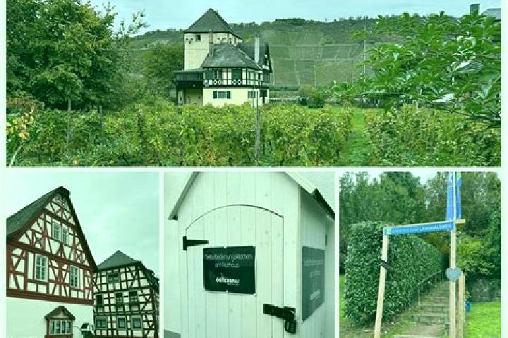Harper, 28 — Escort in Osterspai, Germany