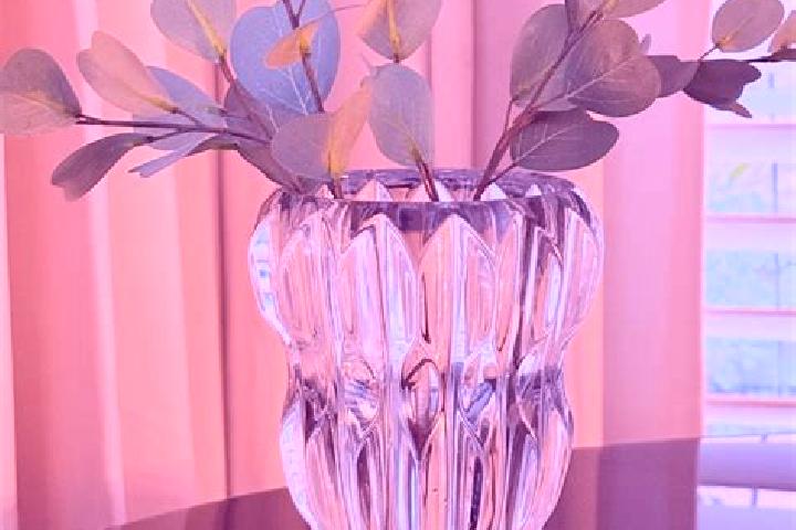 Harper, 28 — Escort in Vase, Slovenia