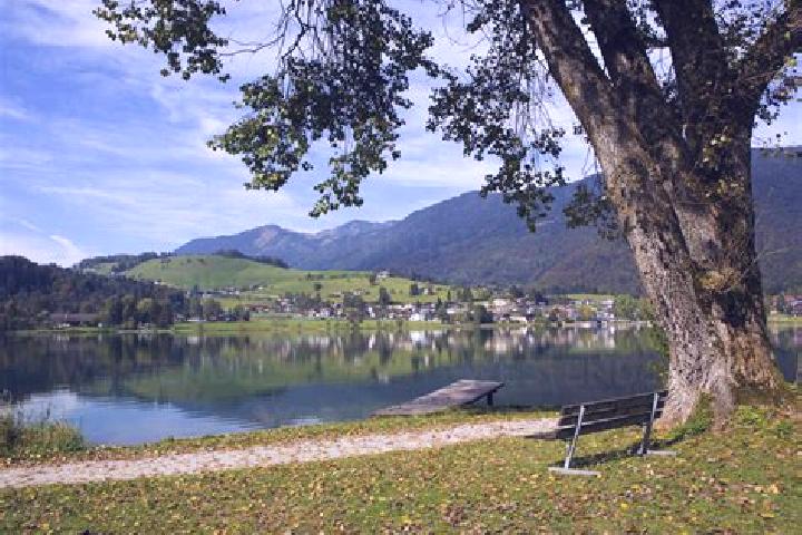 Harper, 28 — Escort in Vorderthiersee, Austria