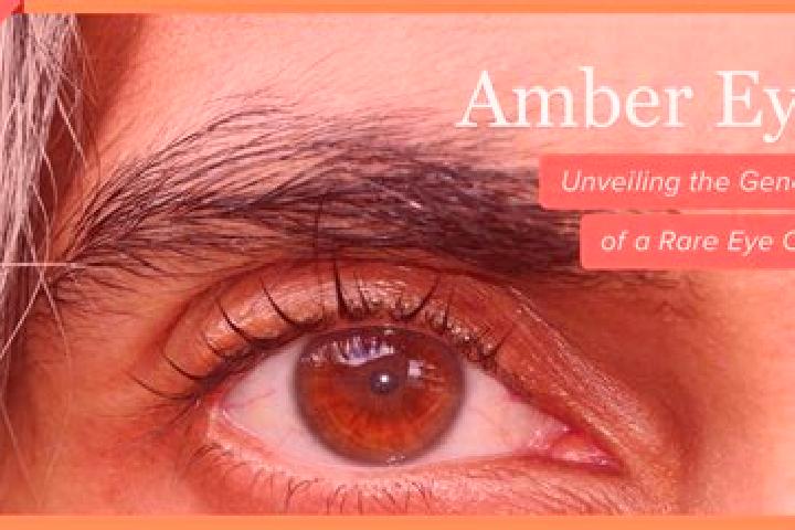 Harper, 29, a black amber-eyed caucasian companion based in Adnet. Offering Travel Companion, Tantra, Deep French Kissing, Roleplay. Available for incall and...