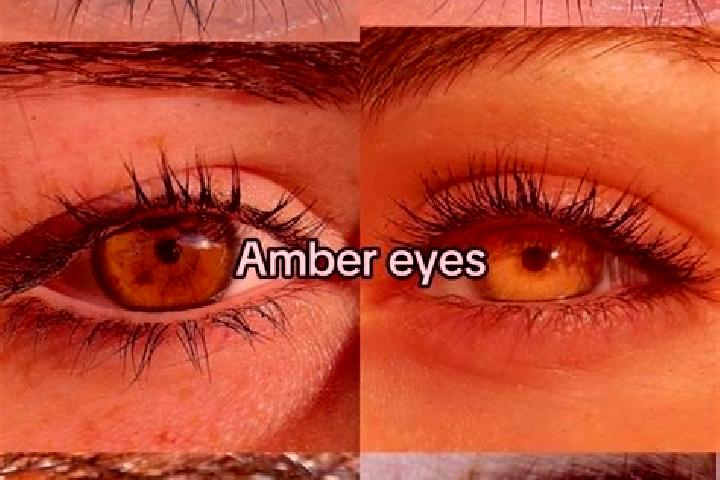 Harper, 29, a brunette amber-eyed caribbean companion based in Grimmelshausen. Offering Domination, Massage, Girlfriend Experience. Available for incall and ...