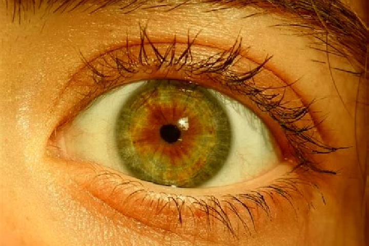 Harper, 29, a red hazel-eyed european companion based in Lindry. Offering Overnight, Dinner Date, OWO. Available for incall and outcall, day and evening dates.