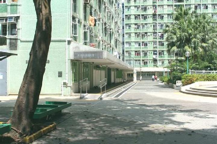 Harper, 29 — Escort in Choi Wan Estate (I & II), Hong Kong