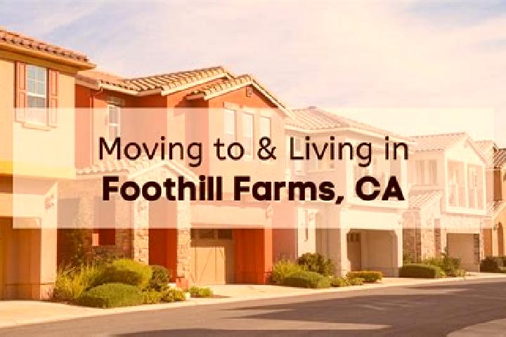 Harper, 29 — Escort in Foothill Farms, United States