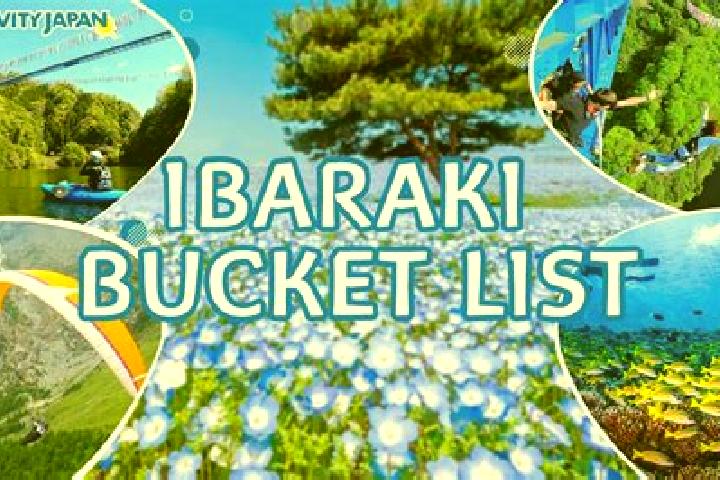 Harper, 29 — Escort in Ibaraki, Japan