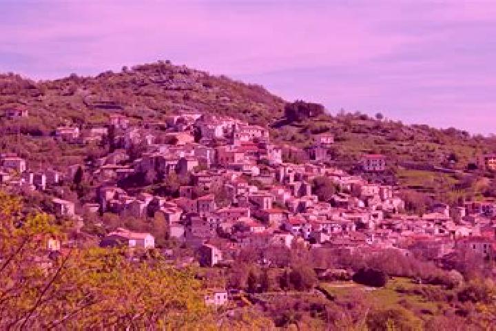 Harper, 29 — Escort in Montenero Val Cocchiara, Italy