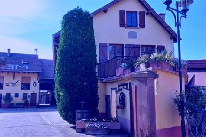 Harper, 29 — Escort in Oberschaeffolsheim, France