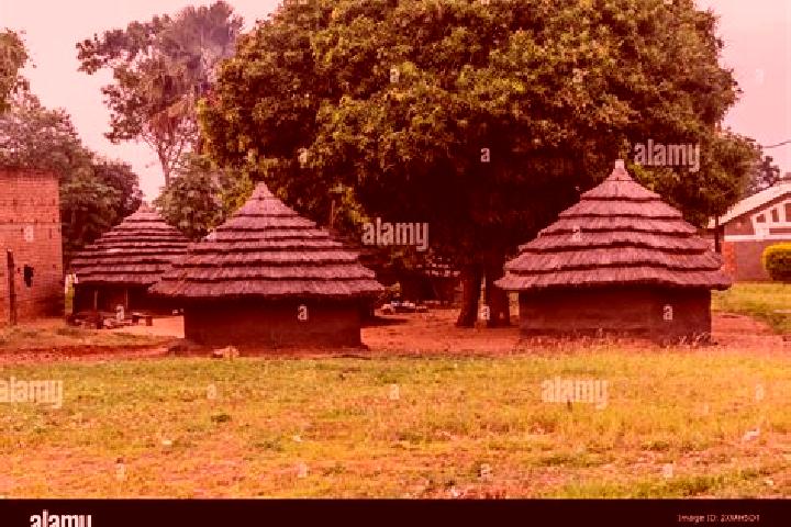 Harper, 29 — Escort in Pakwach, Uganda