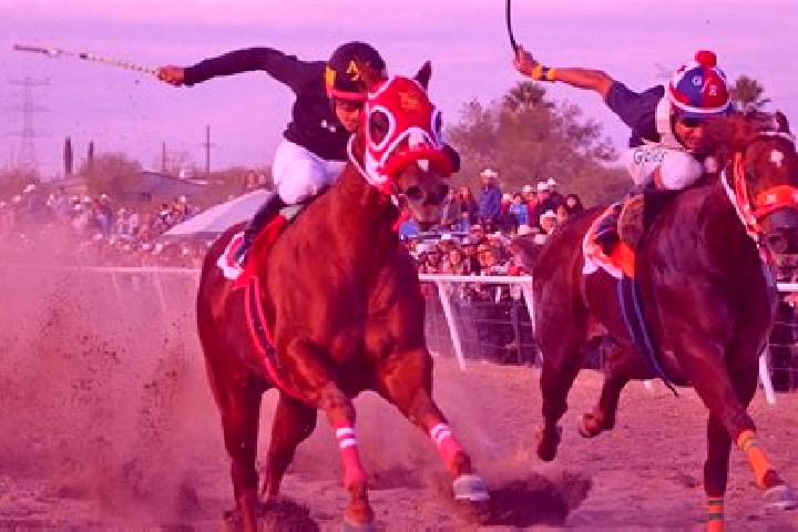 Harper, 29 — Escort in Puerto General Nicolas Bravo (Filo de Caballos), Mexico