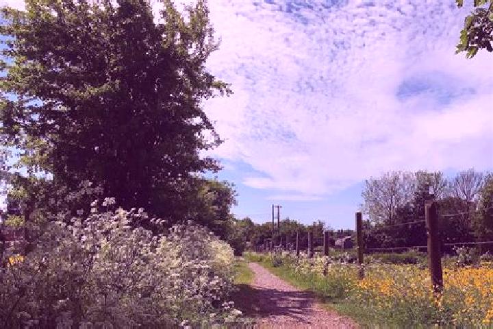 Harper, 30, a red dark-eyed mediterranean companion based in Collingbourne Ducis. Offering Travel Companion, Overnight, Tantra, 69. Available for incall and ...