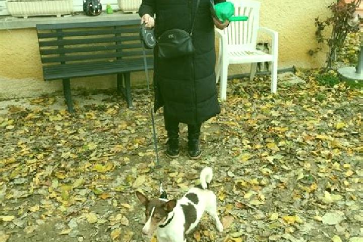 Harper, 30 — Escort in Beaurepaire-en-Bresse, France