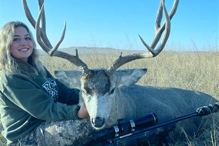 Harper, 30 — Escort in Brown Deer, United States