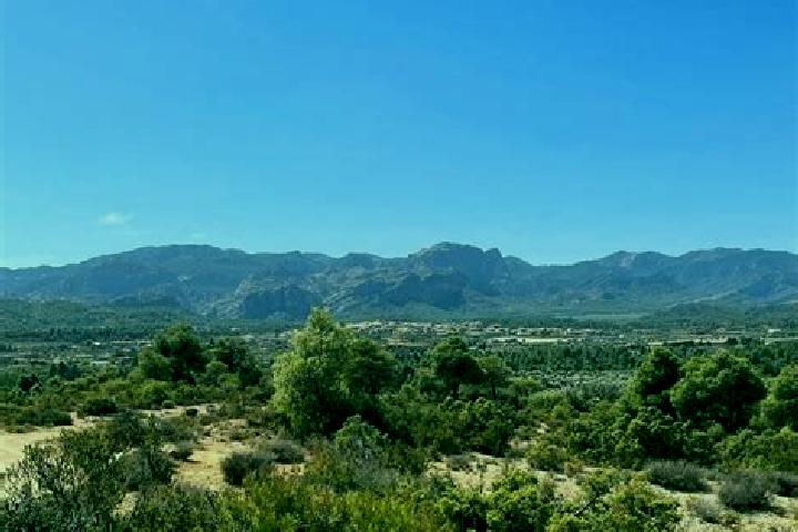 Harper, 30 — Escort in Cretas, Spain