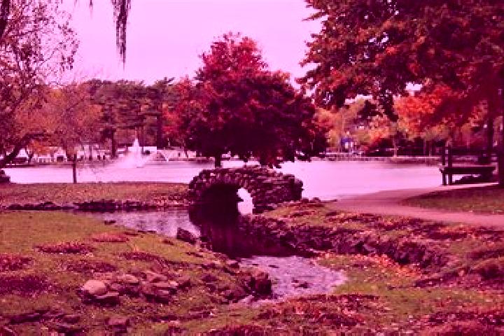 Harper, 30 — Escort in Garden City Park, United States