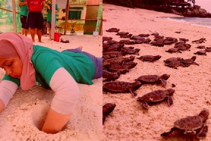 Harper, 30 — Escort in Kuala Penyu, Malaysia