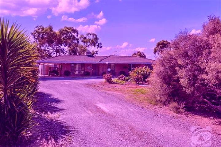 Harper, 30 — Escort in Mallala, Australia