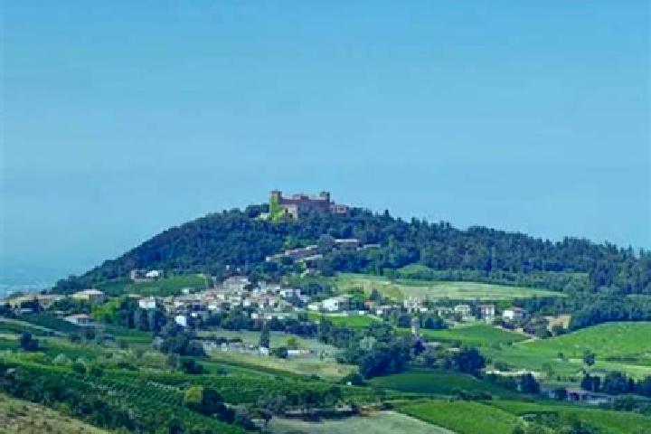 Harper, 30 — Escort in Montalto Pavese, Italy