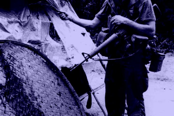 Harper, 30 — Escort in My Lai, Vietnam