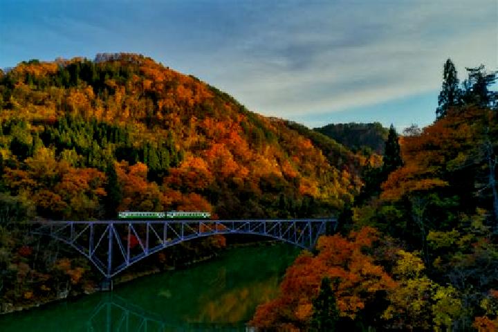 Harper, 30 — Escort in Tadami, Japan