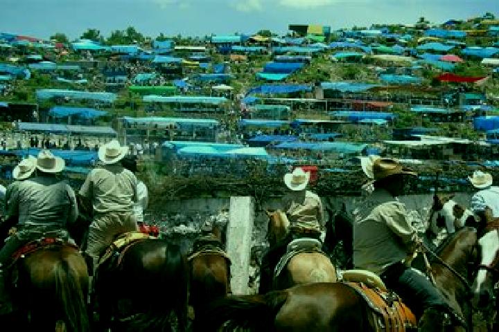 Harper, 31 — Escort in Ayotlan, Mexico