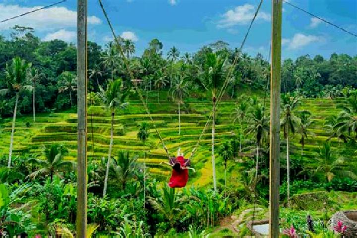 Harper, 31 — Escort in Banjar Kedisan, Indonesia